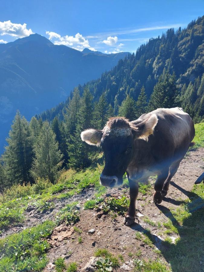 Haus Edelweiss Spiss Bei Samnaun Zewnętrze zdjęcie